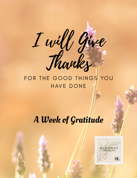 Downloadable Gratitude Mini Journal